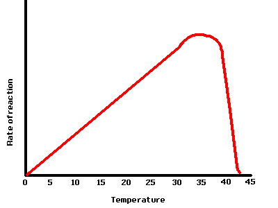 graph showing effect of temperature