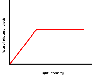 Graph to show effect of Light