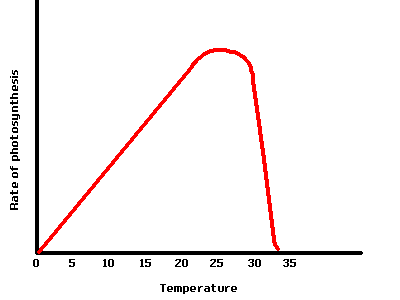 A grpah to show the effect of temperature