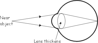 focus on a near-by object
